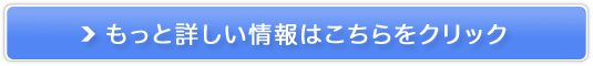 17̃XLPAyC I[^CWFpbNz̔TCg